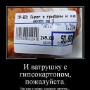 ���� �����, �����-���������, 49 ��� - ��������� 8 ������� 2015 � ������ ������ ��������