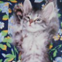 ���� Vinni Kolss, ������ ��������, 58 ��� - ��������� 18 ������� 2016 � ������ ���� ����������