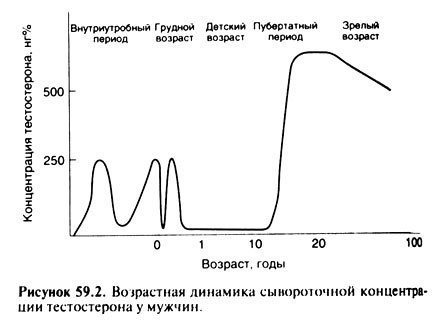 ОБЩЕЕ ВОЗДЕЙСТВИЕ ТЕСТОСТЕРОНА.Стимуляторы тестостерона,такие как андростенедион, входят в число ...