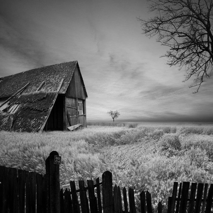    (Caras Ionut)..       ... - 3