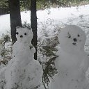 ���� ����, �����, 49 ��� - ��������� 29 ������ 2015