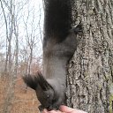 ���� �������, ����������� - ��������� 16 ������ 2015 � ������ ���� ����������