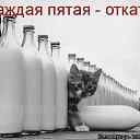 ���� �������, �����, 56 ��� - ��������� 19 ������ 2015 � ������ ���� ����������
