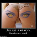 ���� ����, ����, 48 ��� - ��������� 17 ������� 2015 � ������ ������ ��������