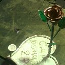 ���� Nurikdjan, ������, 40 ��� - ��������� 2 ����� 2016 � ������ ������ ��������