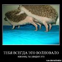 ���� �������, ������, 47 ��� - ��������� 27 ������� 2015 � ������ ���� ����������