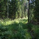 ���� �������, ������, 52 ���� - ��������� 6 ������� 2015 � ������ ���������