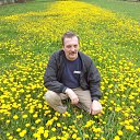 ���� �������, ������, 56 ��� - ��������� 17 ������� 2015 � ������ ������ ��������