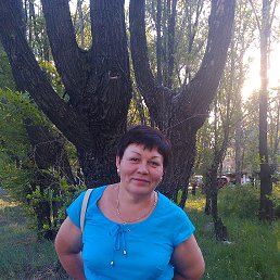 �����, ������, 63 ����