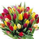 ���� �����, ������� - ��������� 9 ����� 2016 � ������ ������ ��������