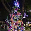 ���� ����, �����, 58 ��� - ��������� 21 ������� 2015 � ������ ���� ����������