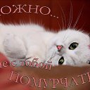 ���� ��������, ��������, 67 ��� - ��������� 24 ������ 2016 � ������ ���������