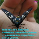 ���� �����, ���� - ��������� 17 ������ 2016 � ������ ������ ��������