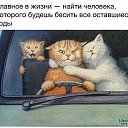 ���� ��������, ������ - ��������� 12 ������ 2015 � ������ ���� ����������