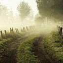 ���� ������, ������, 47 ��� - ��������� 12 ������� 2015 � ������ ������ ��������