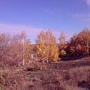 ���� ����, ��������, 50 ��� - ��������� 4 ������� 2015 � ������ ������ ��������