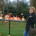���� Antonina, ���������, 68 ��� - ��������� 8 ������ 2016 � ������ ����������