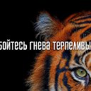 ���� ����, ������, 59 ��� - ��������� 27 ������� 2015 � ������ ������ ��������