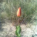 ���� ��������, ���� - ��������� 19 ������� 2015 � ������ ���� ����������