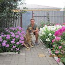 ���� �������, ��������, 41 ��� - ��������� 28 ������� 2015 � ������ ���� ����������