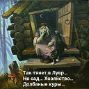     , , 57  -  5  2016    
