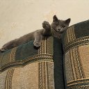 ���� Artem, ������ - ��������� 10 ������� 2015 � ������ ���� ����������