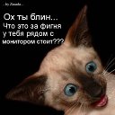 ���� Anton, ������ - ��������� 5 ����� 2016 � ������ ������