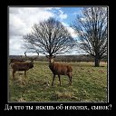 ���� �����, �����-��������� - ��������� 31 ������� 2015 � ������ ������ ��������