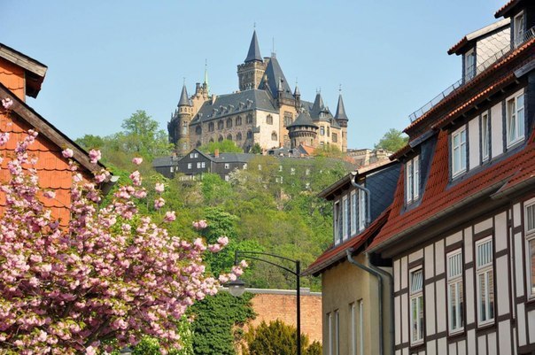 Wernigerode  -.   - 5