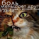 ���� ���������, ������, 44 ���� - ��������� 10 ������� 2015 � ������ ��������������