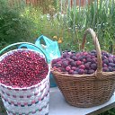 ���� �����, �����-���������, 60 ��� - ��������� 4 ������� 2015 � ������ ���� ����������