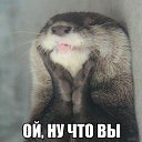 ���� ������, �������, 45 ��� - ��������� 19 ������ 2015 � ������ ���� ����������