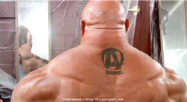 БЫЧЬЯ ШЕЯ.Ни одна часть тела не демонстрирует физическую мощь так зримо и наглядно, как крепкая ...