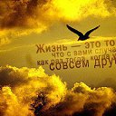 ���� �����, �����������, 67 ��� - ��������� 13 ������� 2015 � ������ ������ ��������