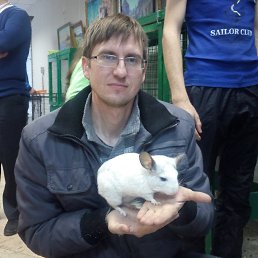 ����, ������, 45 ���