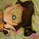 ���� Olga, ������� - ��������� 23 ������ 2016 � ������ ���� ����������