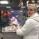 ���� �������, ����������, 61 ��� - ��������� 16 ������ 2016 � ������ ���� ����������