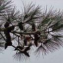  , , 60  -  29  2016     ,23.01.16.