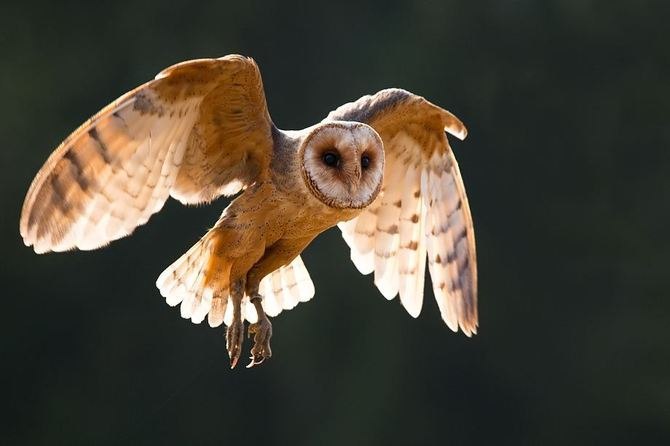  ! - 24  2016  18:36 - 3