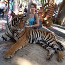 ������� 2015 �� ������� ���� ����������