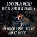 ���� ����, �������� - ��������� 31 ������ 2016 � ������ ������ ��������