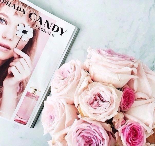       ,   ,   ,    . ... - 4