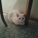 ���� ������ �������, �������, 67 ��� - ��������� 15 ������ 2016 � ������ ������ ��������