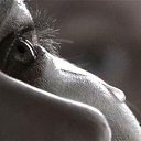 ���� �������, ������, 62 ���� - ��������� 24 ������� 2015 � ������ ������ ��������