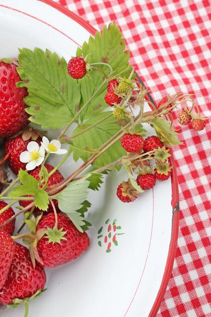   - 17  2016  10:15 - 6