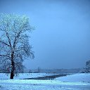 ���� �������, �����������, 37 ��� - ��������� 9 ������ 2016 � ������ ���� ����������