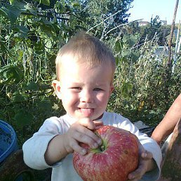 ���� ����, ������, 53 ���� - ��������� 18 ������� 2016