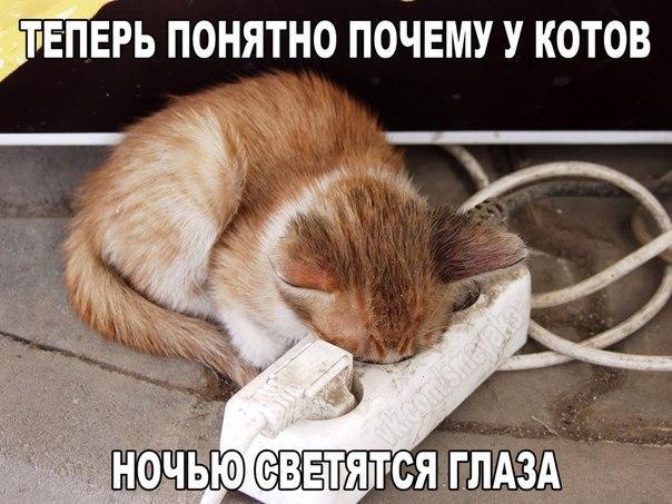 ��� ���� � ����� �� �� - 8 ������ 2015 � 13:48