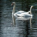 ���� �������, ������� - ��������� 15 ������� 2015 � ������ ��� ���������.�