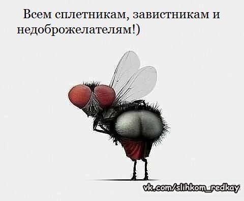 ������� �������, ����� �������.&copy; - 23 ������� 2015 � 00:45